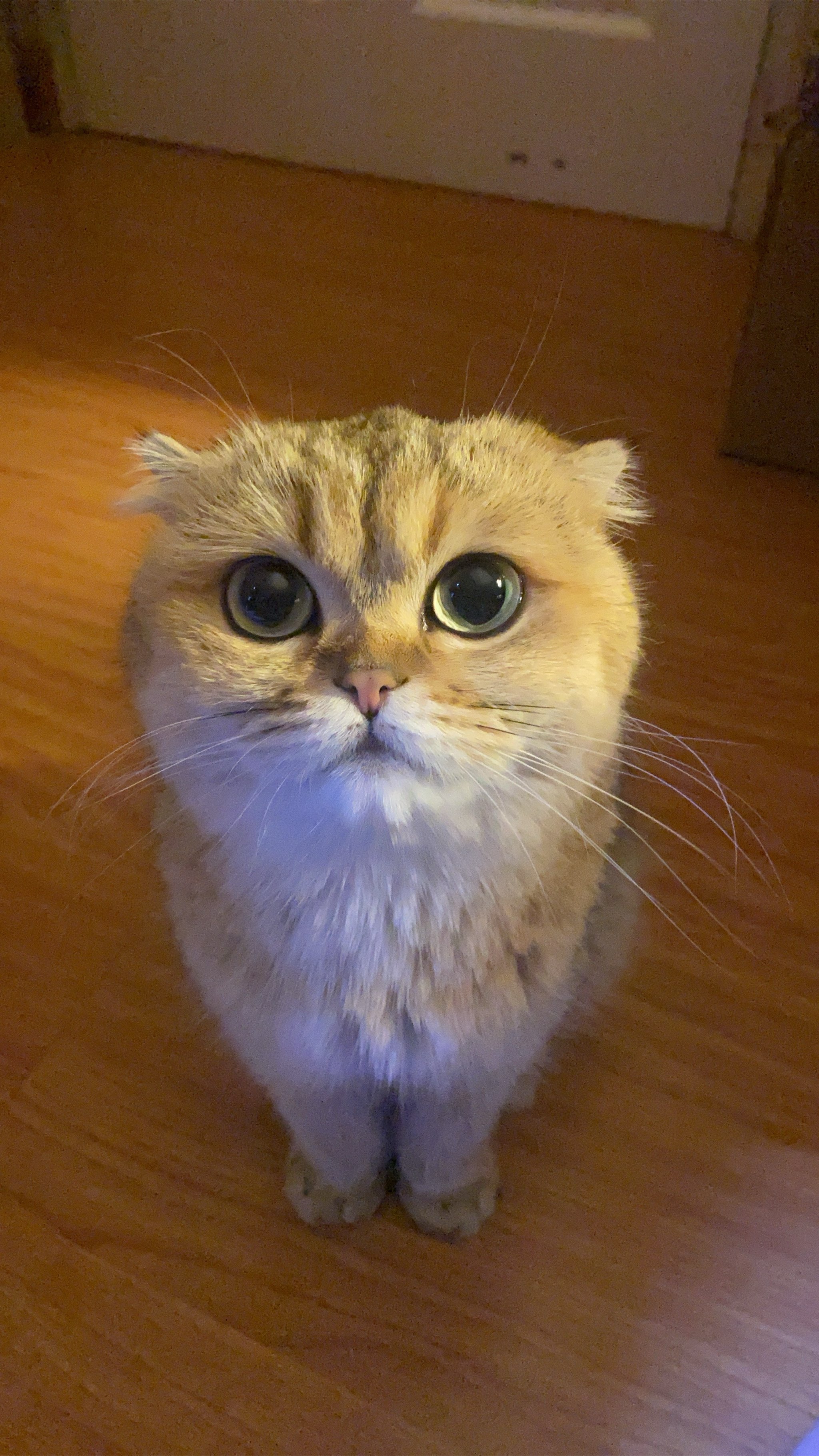 Pennsylvania Schedule C 8 Instructions