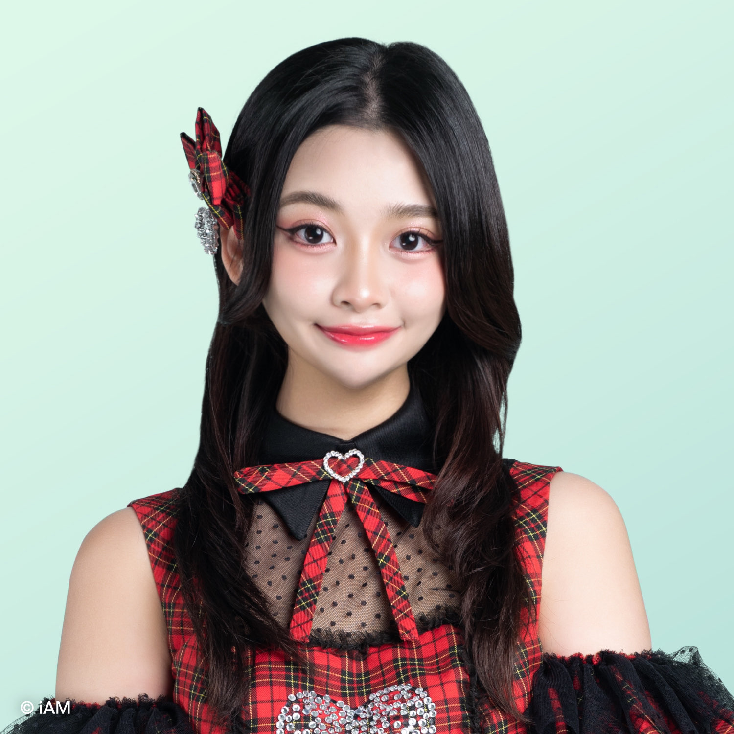 image profile