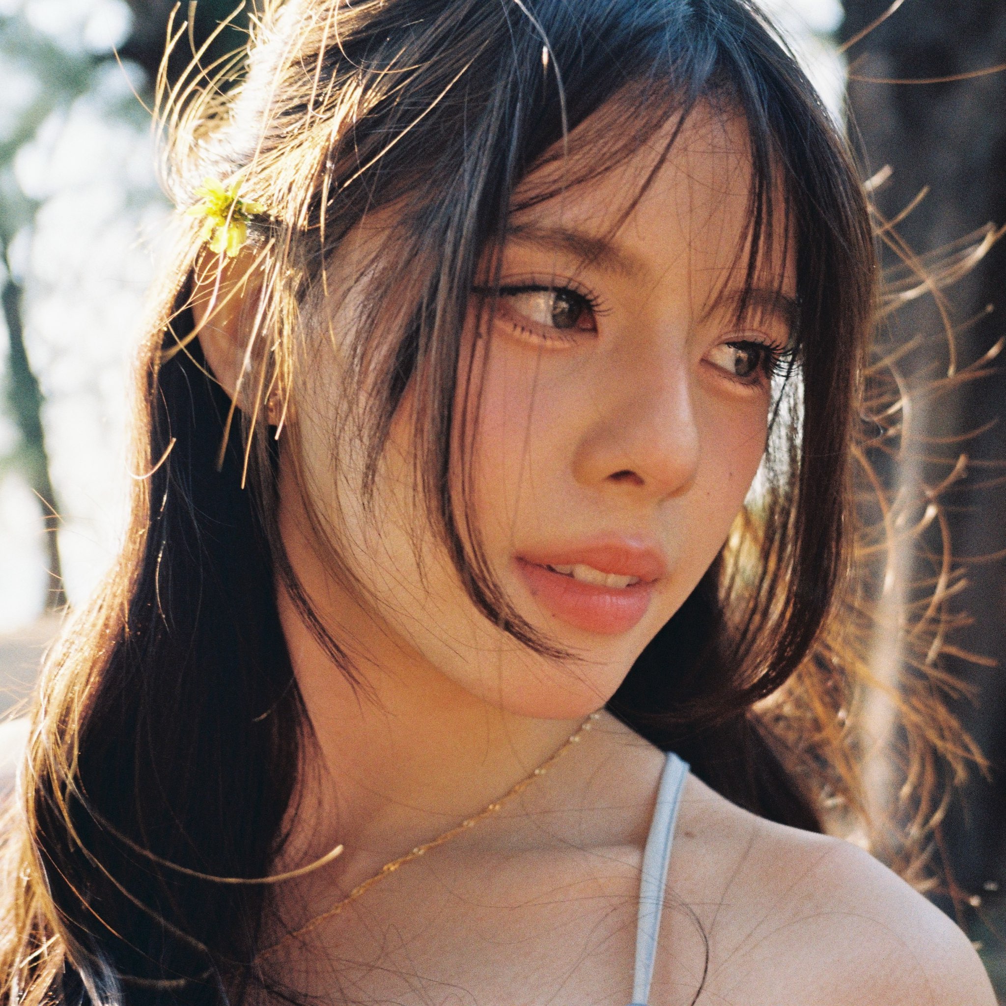 profile