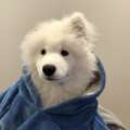 Cinque Terre